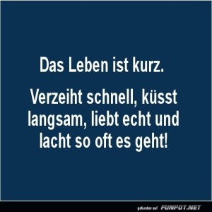 Kurzlebiger-Lebensratgeber.jpg von Mattis