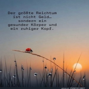 Ein-Marienk�fer-wei�,-was-z�hlt!.jpg von Valentina