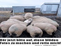 H�r auf mit Bilder machen
