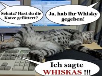 Wenn Missverst�ndnisse schnurren k�nnten