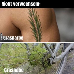 Grasnarben:-Die-wahre-Natur-des-Radfahrers.jpg von Liebeswolke