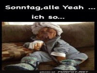 Sonntag
