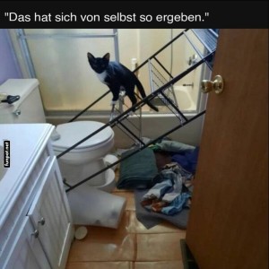 fun-Bild: Katzenlogik: Der Weg des gr&ouml;&szlig;ten Chaos