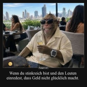 Monkey-Business-Class.jpg von Traumfrau
