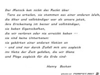 der-mensch-hat-nicht-das-recht-ueber-tiere-zu-urteilen