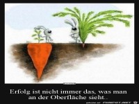 Erfolg ist nicht immer das.......