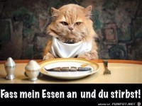 Finger weg von meinem Essen