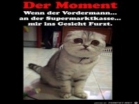 Dieser Moment