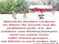 Jetzt w�re das auch gekl�rt