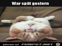 war sp�t gestern