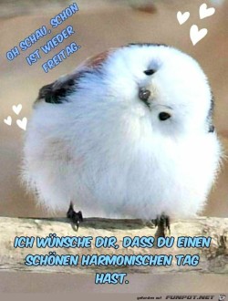 Oh-schau.jpg auf www.funpot.net