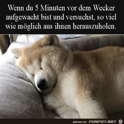 Ich-steh-noch-nicht-auf.jpg von Theda