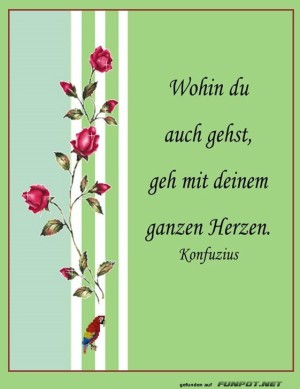 Wohin-du-auch-gehst.jpg auf www.funpot.net
