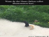 Haare selber gef�rbt