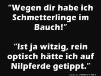 Wegen dir