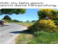 Verstecktes Verkehrsschild am Stra�enrand