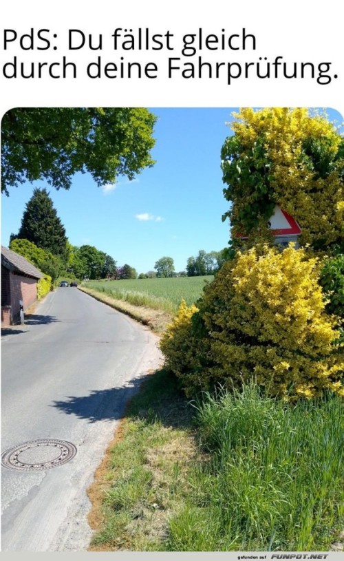 Verstecktes-Verkehrsschild-am-Straßenrand.jpg auf www.funpot.net