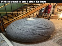 Katze schlft auf groem grauen Kissen