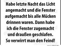 Der ultimative Mcken-Verwirrungsplan