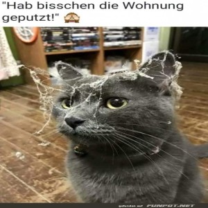 Bisschen-Staub-in-der-Bude.jpg von Lennox44