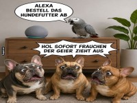 Der Freche Papagei übernimmt die Kontrolle!
