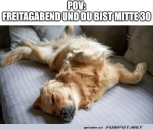 Wenn-Freitagabend-zur-Siesta-wird.jpg auf www.funpot.net