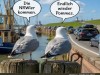 weiter