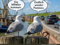 M�wen freuen sich auf die Ankunft