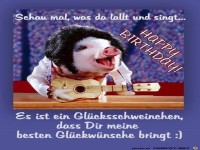 gluecksschweinchen