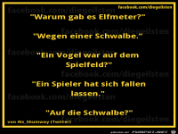 diegeilsten Schwalbe