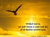 wirklich reich