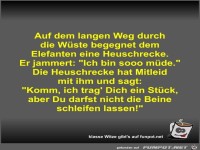 Auf dem langen Weg durch die W�ste begegnet dem Elefanten...