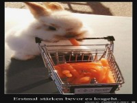 St�rken vor Ostern