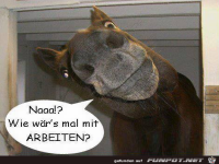 Wie w�rs mit Arbeiten