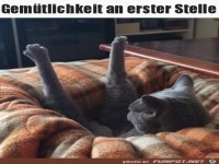 Gemtlichkeit ist wichtig