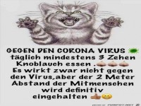Gegen den Corona-Virus Knobloch essen