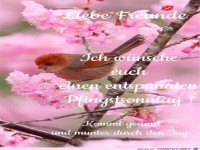 Einen entspannten Pfingstsonntag