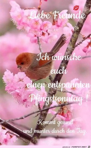 Einen-entspannten-Pfingstsonntag.jpg auf www.funpot.net