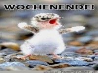 Wochenende
