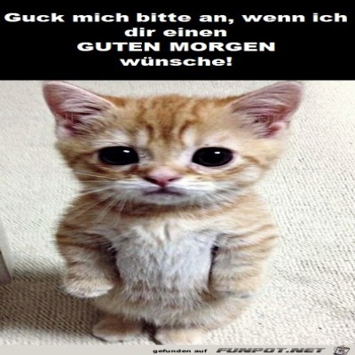 Guten-Morgen.jpg von Lisa1709