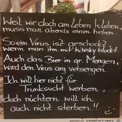 den-Virus-schocken.jpg von Lina