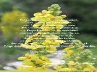 M�gest du die vielen Wegweiser