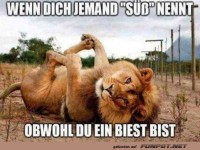 Sehr s��