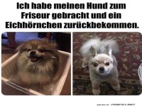 Eichh�rnchen zur�ckbekommen