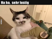 Katze wird von Pl�schkrokodil gehalten