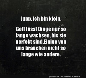 Kleine-Dinge-sind-perfekt.jpg auf www.funpot.net