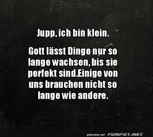 Kleine-Dinge-sind-perfekt.jpg auf www.funpot.net