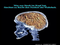 X-Ray zeigt Hirngespinste aus Stroh!