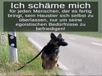 Hund vs. Egoismus: Wer gewinnt?