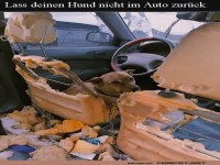 Auto-Innenarchitektur � la Fido